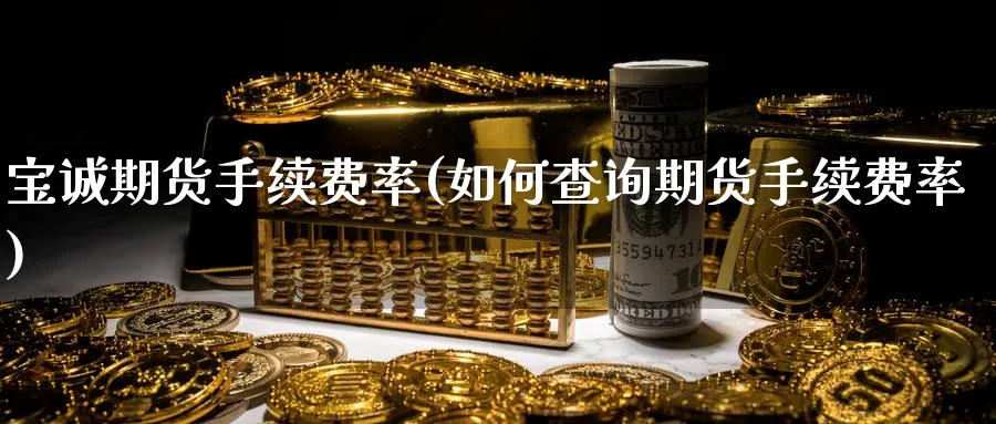 宝诚期货手续费率(如何查询期货手续费率)_https://www.vyews.com_期货行情_第1张