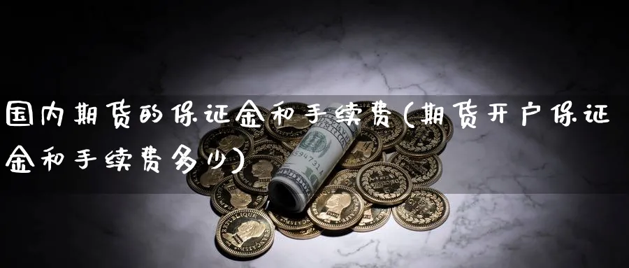 国内期货的保证金和手续费(期货开户保证金和手续费多少)_https://www.vyews.com_原油直播间_第1张