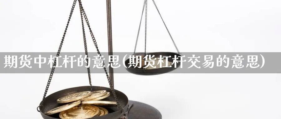 期货中杠杆的意思(期货杠杆交易的意思)_https://www.vyews.com_期货直播间_第1张