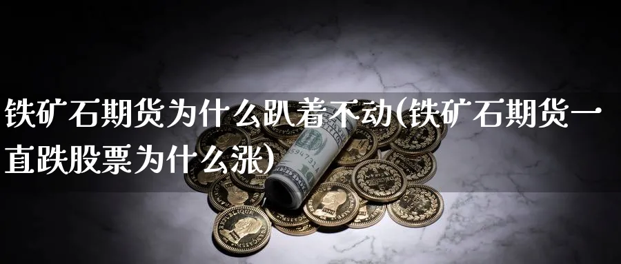 铁矿石期货为什么趴着不动(铁矿石期货一直跌股票为什么涨)_https://www.vyews.com_期货行情_第1张