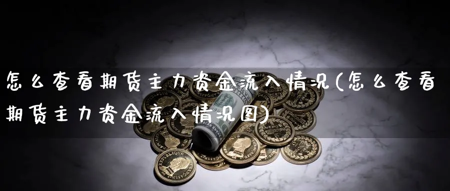 怎么查看期货主力资金流入情况(怎么查看期货主力资金流入情况图)_https://www.vyews.com_国际期货_第1张