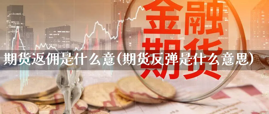 期货返佣是什么意(期货反弹是什么意思)_https://www.vyews.com_股指期货_第1张