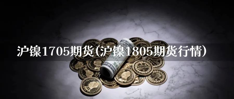 沪镍1705期货(沪镍1805期货行情)_https://www.vyews.com_内盘期货_第1张