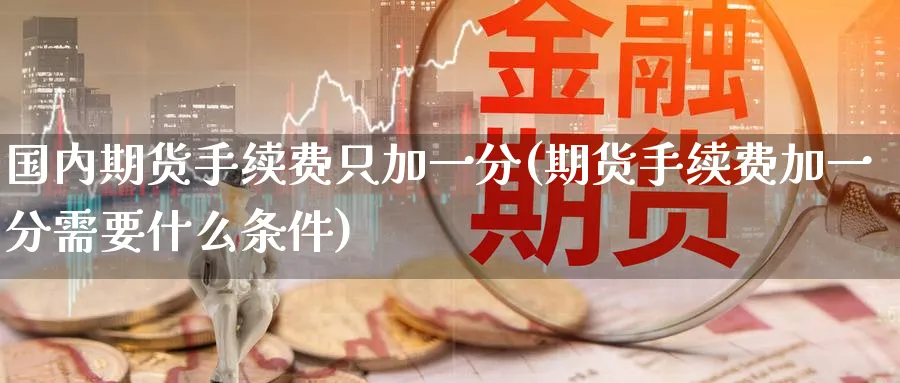 国内期货手续费只加一分(期货手续费加一分需要什么条件)_https://www.vyews.com_期货行情_第1张