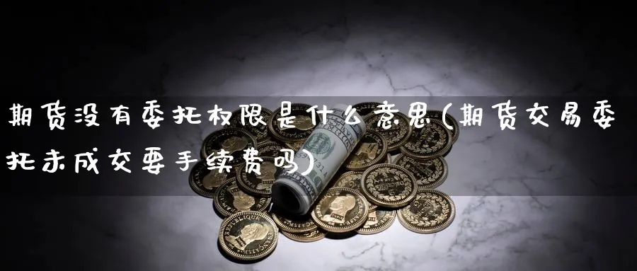 期货没有委托权限是什么意思(期货交易委托未成交要手续费吗)_https://www.vyews.com_期货直播间_第1张