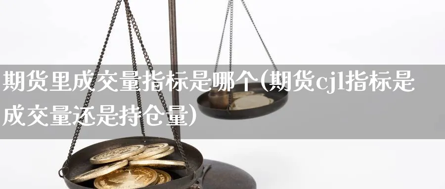 期货里成交量指标是哪个(期货cjl指标是成交量还是持仓量)_https://www.vyews.com_期货品种_第1张