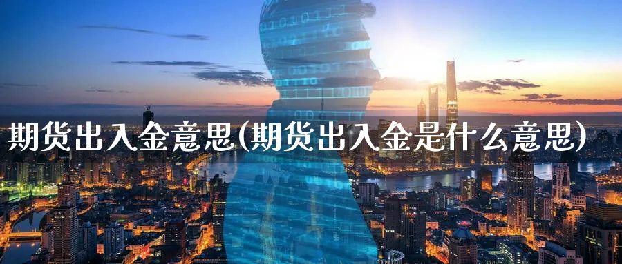 期货出入金意思(期货出入金是什么意思)_https://www.vyews.com_期货品种_第1张