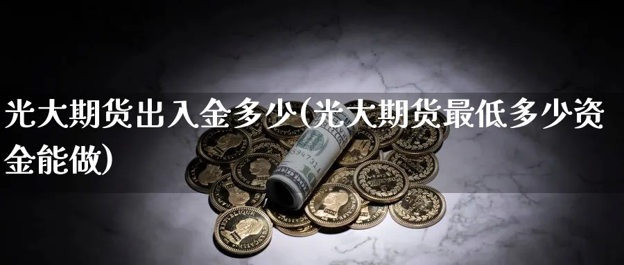 光大期货出入金多少(光大期货最低多少资金能做)_https://www.vyews.com_技术指标_第1张