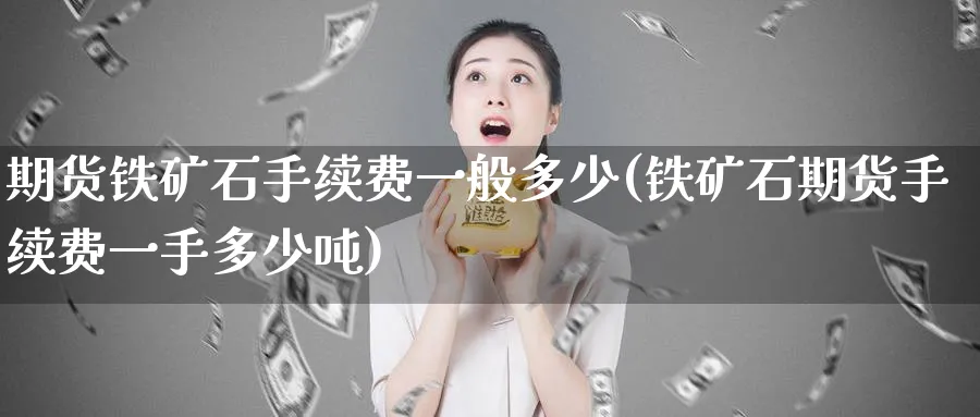 期货铁矿石手续费一般多少(铁矿石期货手续费一手多少吨)_https://www.vyews.com_原油直播间_第1张