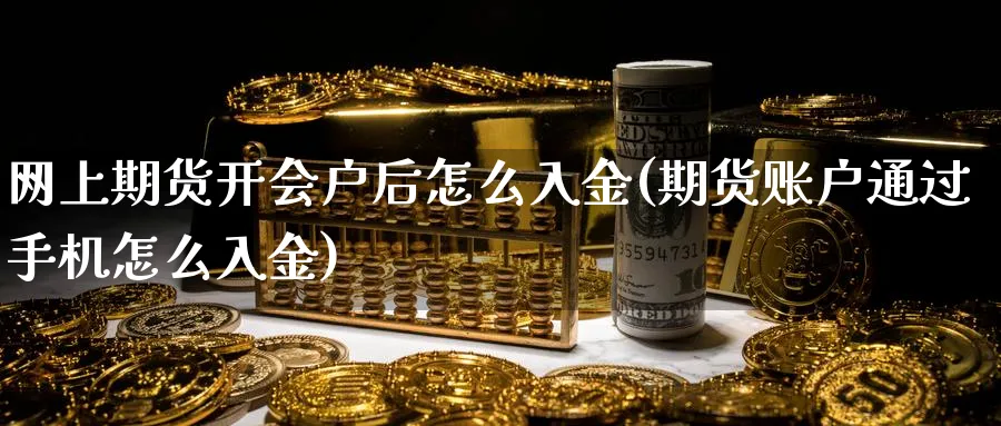 网上期货开会户后怎么入金(期货账户通过手机怎么入金)_https://www.vyews.com_期货行情_第1张