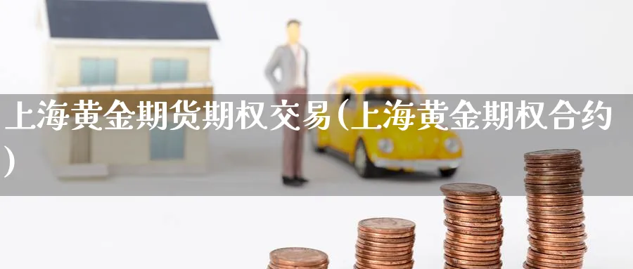 上海黄金期货期权交易(上海黄金期权合约)_https://www.vyews.com_行情分析_第1张