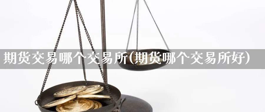 期货交易哪个交易所(期货哪个交易所好)_https://www.vyews.com_期货品种_第1张