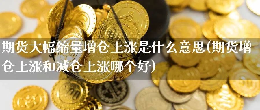 期货大幅缩量增仓上涨是什么意思(期货增仓上涨和减仓上涨哪个好)_https://www.vyews.com_期货品种_第1张