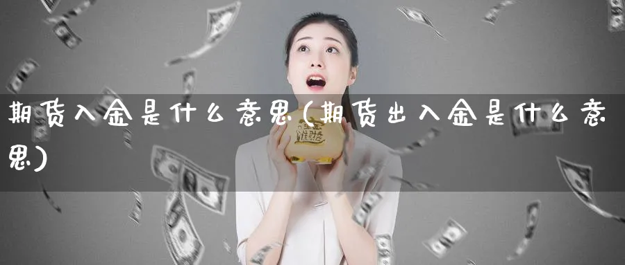 期货入金是什么意思(期货出入金是什么意思)_https://www.vyews.com_技术指标_第1张