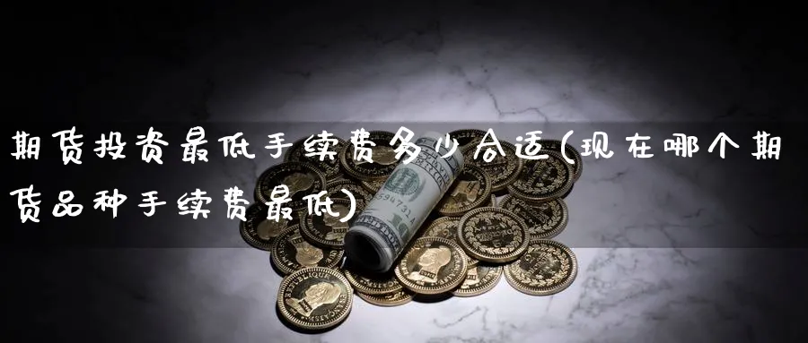 期货投资最低手续费多少合适(现在哪个期货品种手续费最低)_https://www.vyews.com_原油直播间_第1张