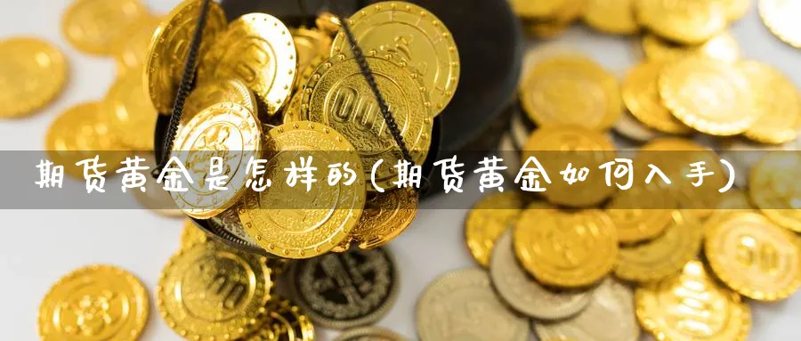 期货黄金是怎样的(期货黄金如何入手)_https://www.vyews.com_原油期货_第1张