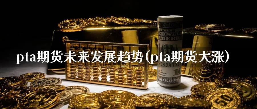 pta期货未来发展趋势(pta期货大涨)_https://www.vyews.com_黄金期货_第1张