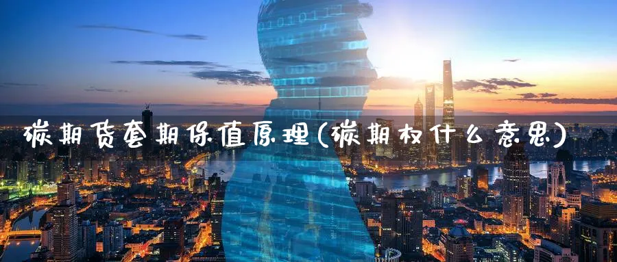 碳期货套期保值原理(碳期权什么意思)_https://www.vyews.com_期货技术_第1张