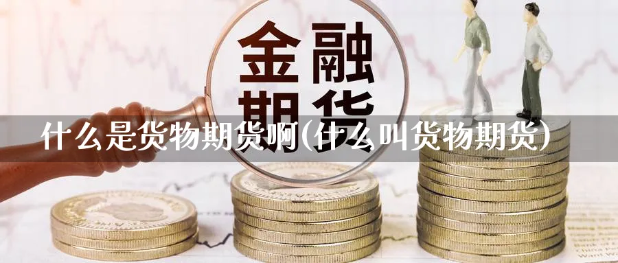 什么是货物期货啊(什么叫货物期货)_https://www.vyews.com_黄金期货_第1张