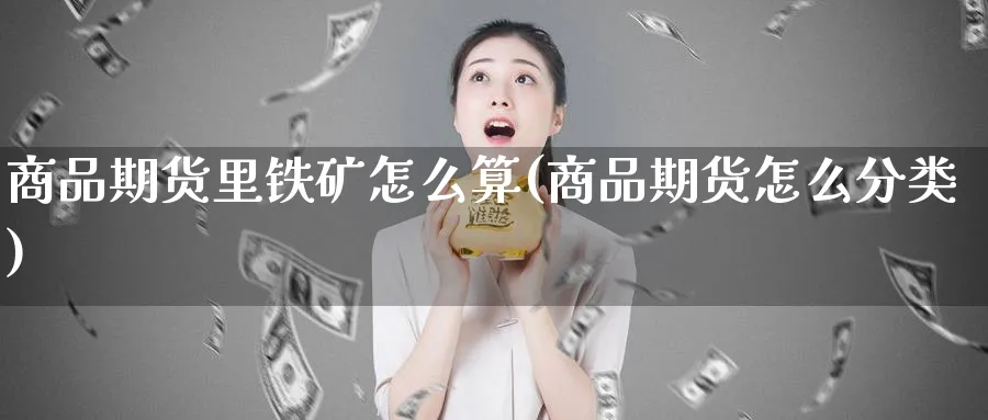 商品期货里铁矿怎么算(商品期货怎么分类)_https://www.vyews.com_技术指标_第1张