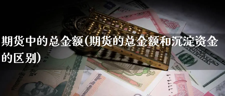 期货中的总金额(期货的总金额和沉淀资金的区别)_https://www.vyews.com_期货品种_第1张