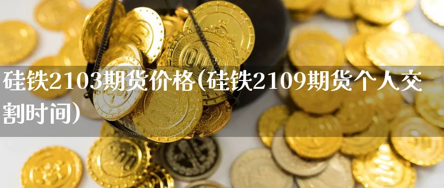 硅铁2103期货价格(硅铁2109期货个人交割时间)_https://www.vyews.com_内盘期货_第1张