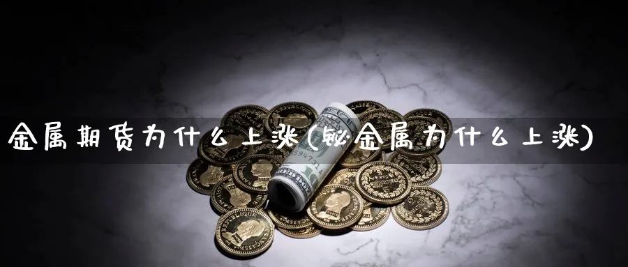 金属期货为什么上涨(铋金属为什么上涨)_https://www.vyews.com_期货直播间_第1张