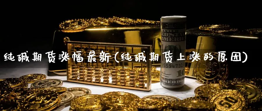 纯碱期货涨幅最新(纯碱期货上涨的原因)_https://www.vyews.com_行情分析_第1张