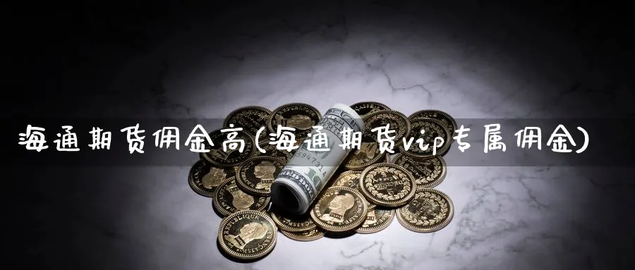 海通期货佣金高(海通期货vip专属佣金)_https://www.vyews.com_原油直播间_第1张