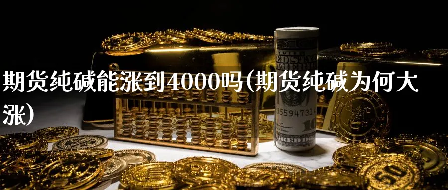 期货纯碱能涨到4000吗(期货纯碱为何大涨)_https://www.vyews.com_原油直播间_第1张