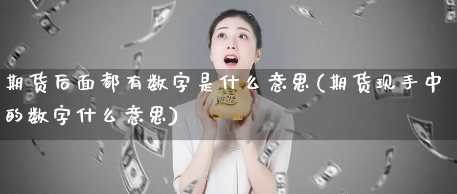 期货后面都有数字是什么意思(期货现手中的数字什么意思)_https://www.vyews.com_期货直播间_第1张