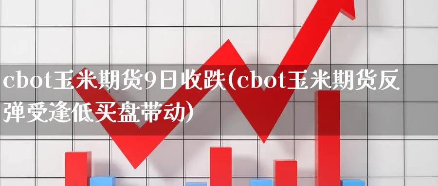 cbot玉米期货9日收跌(cbot玉米期货反弹受逢低买盘带动)_https://www.vyews.com_股指期货_第1张