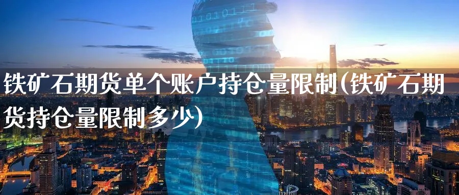 铁矿石期货单个账户持仓量限制(铁矿石期货持仓量限制多少)_https://www.vyews.com_国际期货_第1张