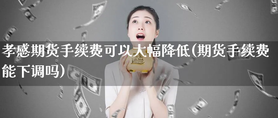 孝感期货手续费可以大幅降低(期货手续费能下调吗)_https://www.vyews.com_期货行情_第1张