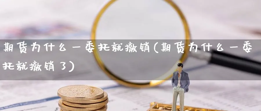 期货为什么一委托就撤销(期货为什么一委托就撤销了)_https://www.vyews.com_期货品种_第1张