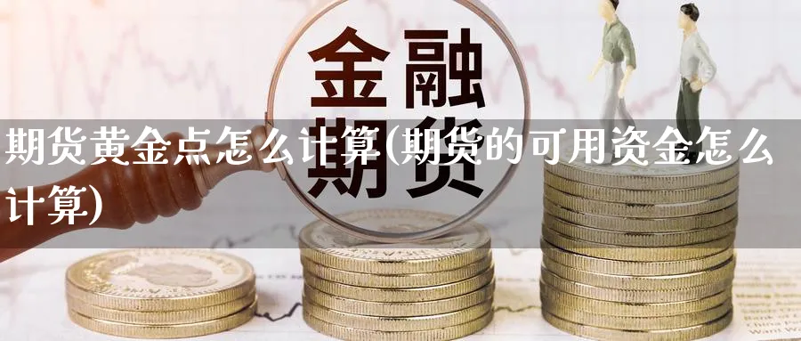 期货黄金点怎么计算(期货的可用资金怎么计算)_https://www.vyews.com_股指期货_第1张