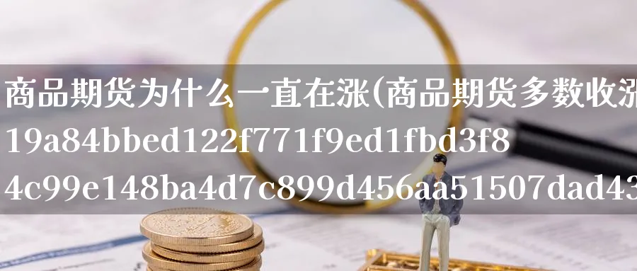 商品期货为什么一直在涨(商品期货多数收涨纯碱涨近6%)_https://www.vyews.com_股指期货_第1张