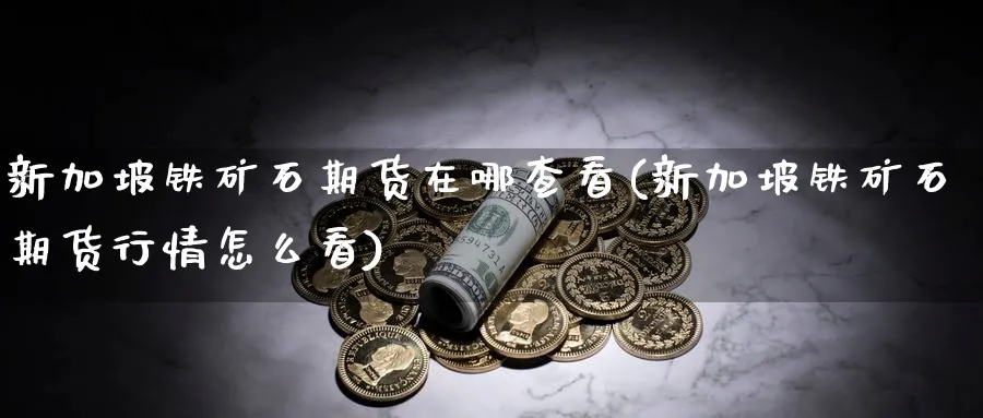 新加坡铁矿石期货在哪查看(新加坡铁矿石期货行情怎么看)_https://www.vyews.com_期货直播间_第1张