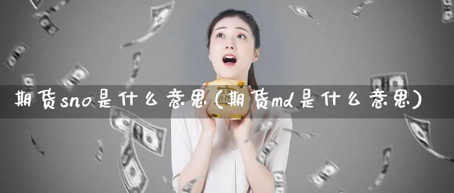 期货sno是什么意思(期货md是什么意思)_https://www.vyews.com_原油期货_第1张