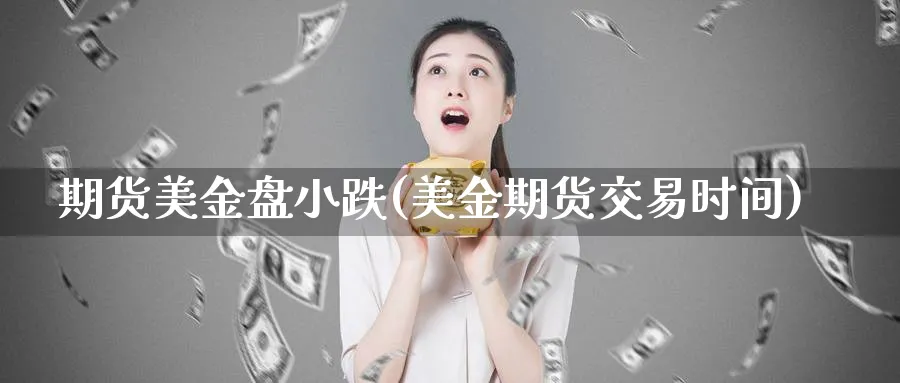 期货美金盘小跌(美金期货交易时间)_https://www.vyews.com_原油直播间_第1张