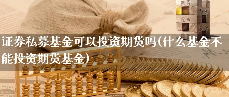 证券私募基金可以投资期货吗(什么基金不能投资期货基金)_https://www.vyews.com_黄金期货_第1张