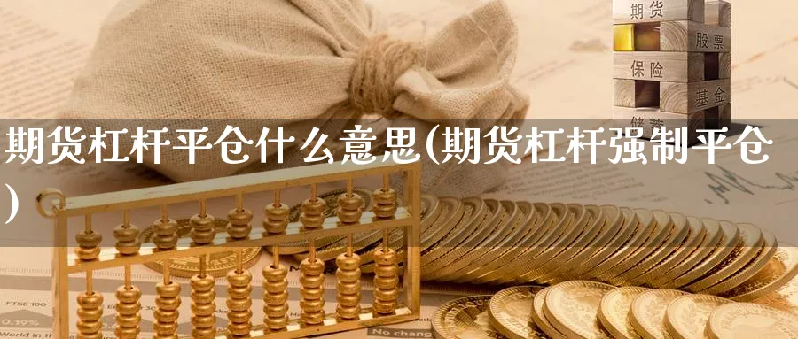 期货杠杆平仓什么意思(期货杠杆强制平仓)_https://www.vyews.com_原油直播间_第1张