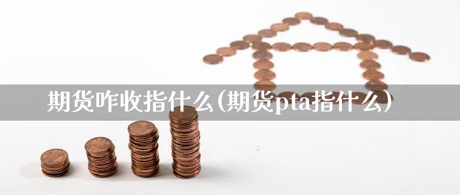 期货咋收指什么(期货pta指什么)_https://www.vyews.com_期货技术_第1张