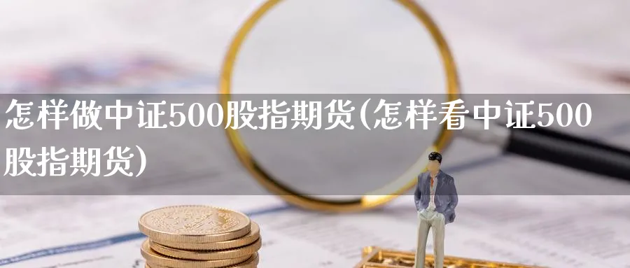 怎样做中证500股指期货(怎样看中证500股指期货)_https://www.vyews.com_内盘期货_第1张