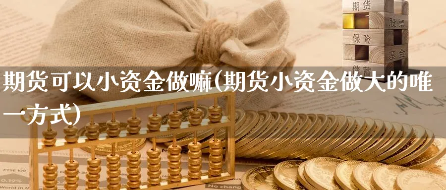 期货可以小资金做嘛(期货小资金做大的唯一方式)_https://www.vyews.com_原油直播间_第1张