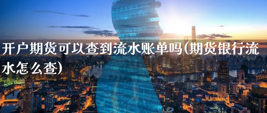 开户期货可以查到流水账单吗(期货银行流水怎么查)_https://www.vyews.com_内盘期货_第1张