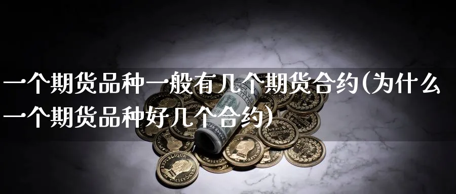 一个期货品种一般有几个期货合约(为什么一个期货品种好几个合约)_https://www.vyews.com_行情分析_第1张