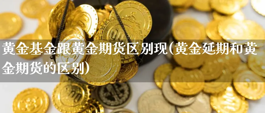 黄金基金跟黄金期货区别现(黄金延期和黄金期货的区别)_https://www.vyews.com_黄金期货_第1张