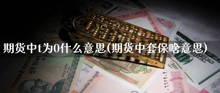 期货中t为0什么意思(期货中套保啥意思)_https://www.vyews.com_期货技术_第1张