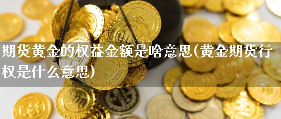 期货黄金的权益金额是啥意思(黄金期货行权是什么意思)_https://www.vyews.com_内盘期货_第1张